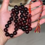 352474490_1211349142889205_7809094601966844547_n